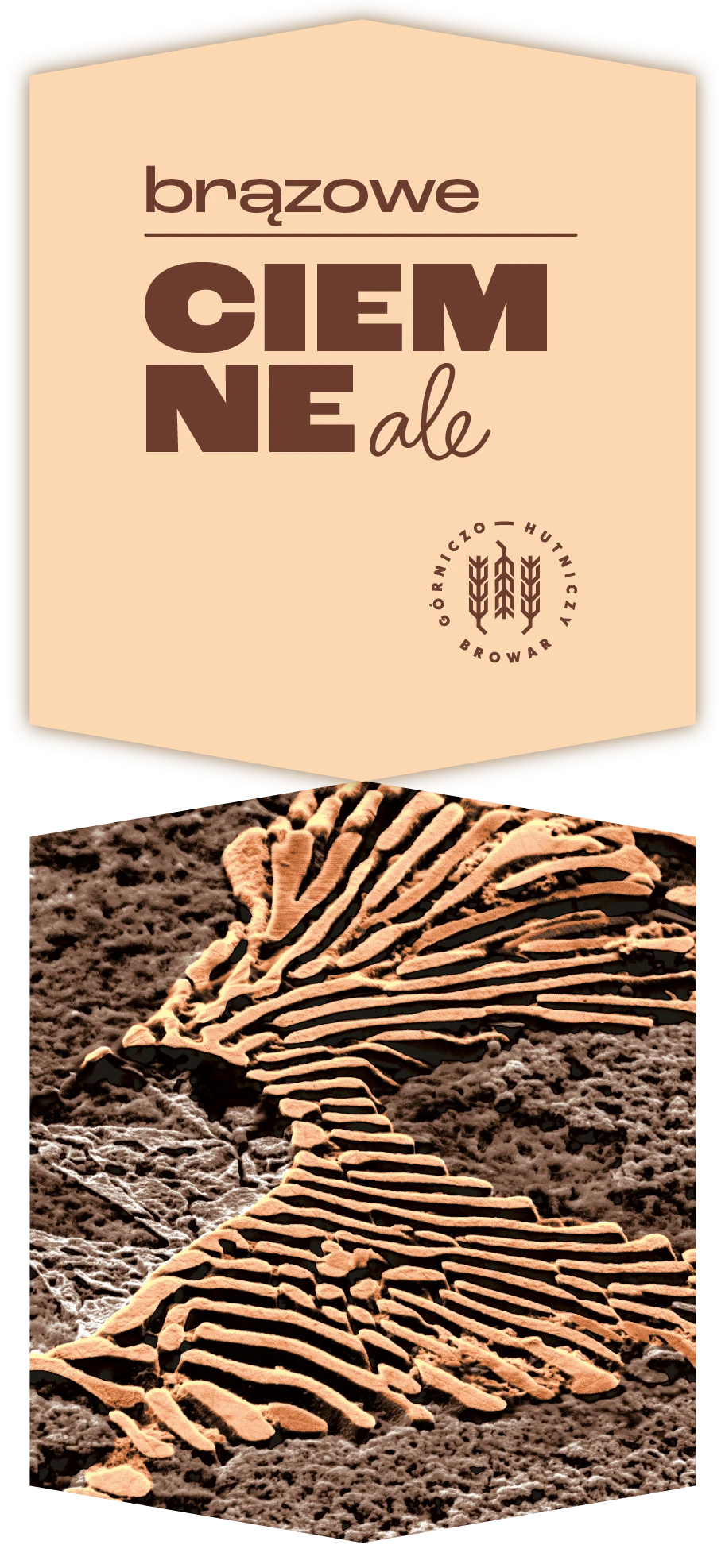 Piwo brązowe CIEMNE ale BGH